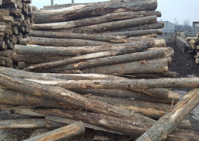 Ash Firewood